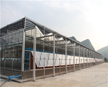 宜賓煙草公司智能玻璃溫室